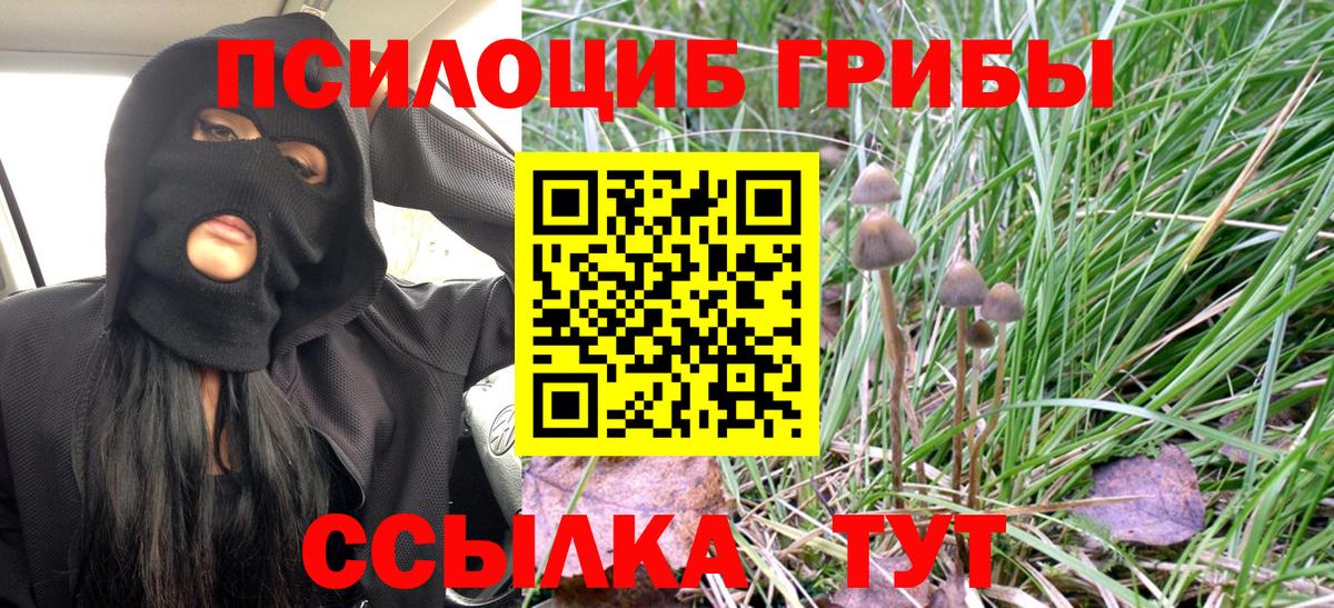 Галлюциногенные грибы мухоморы Киржач