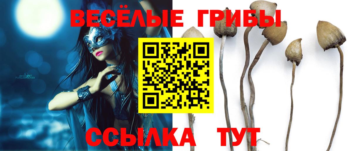  Кокаин Киржач