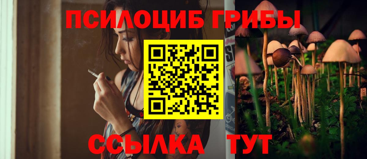 Галлюциногенные грибы мицелий Киржач