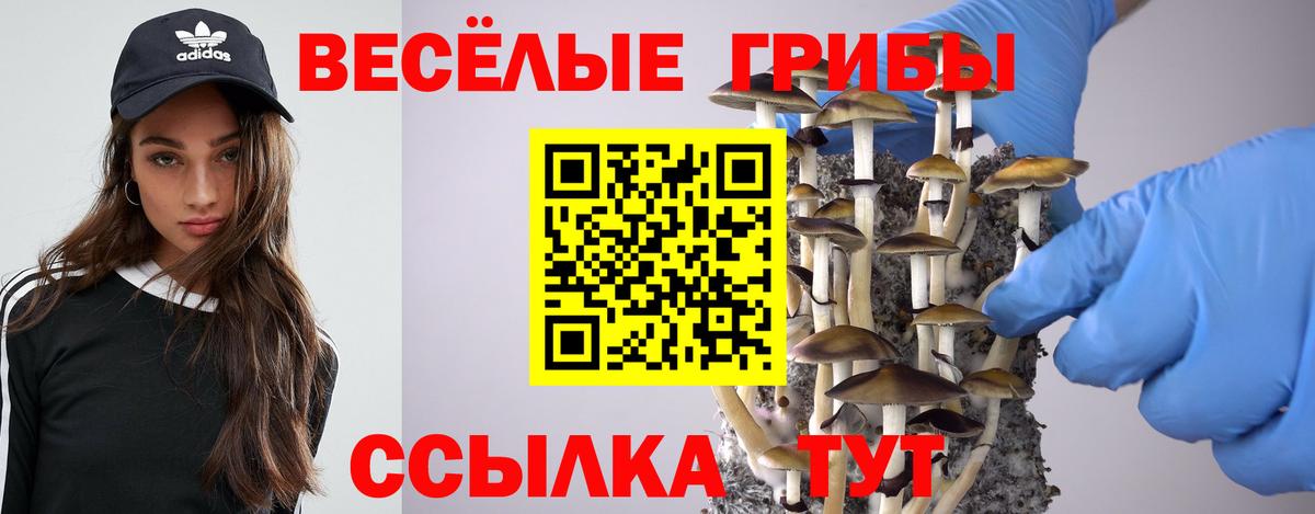 Псилоцибиновые грибы Psilocybine cubensis  Киржач  Псилоцибиновые грибы Psilocybe 