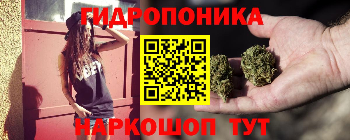 Конопля тримм  Бошки марихуана индика  Конопля планчик  Киржач 
